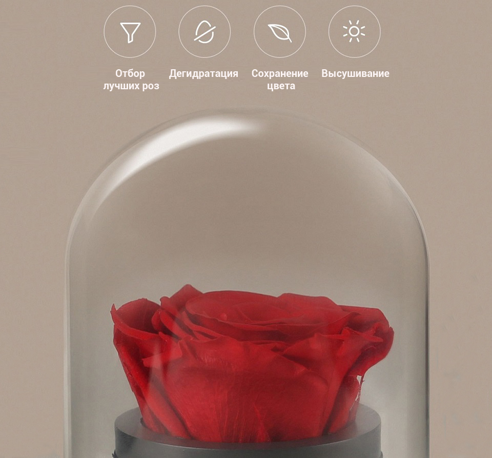 Музыкальная шкатулка Immortal Rose роза
