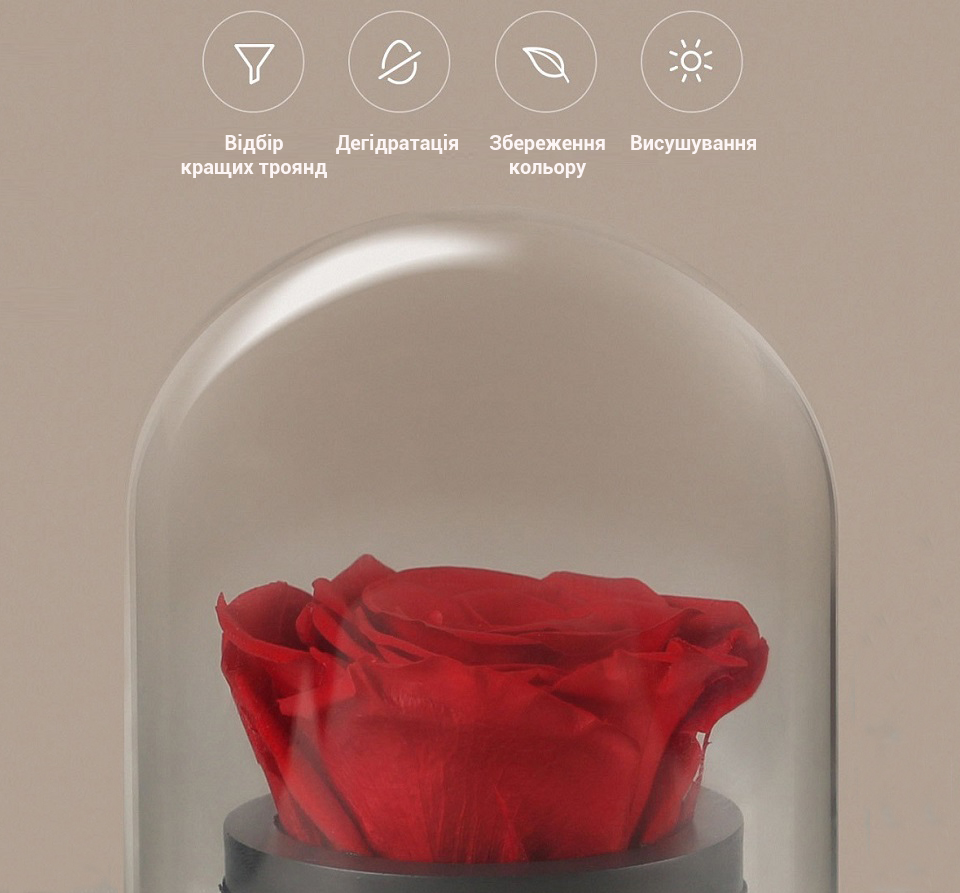 Музична шкатулка Immortal Rose троянда