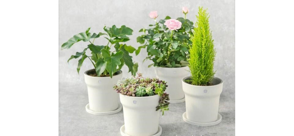 MIJIA smart flower pot