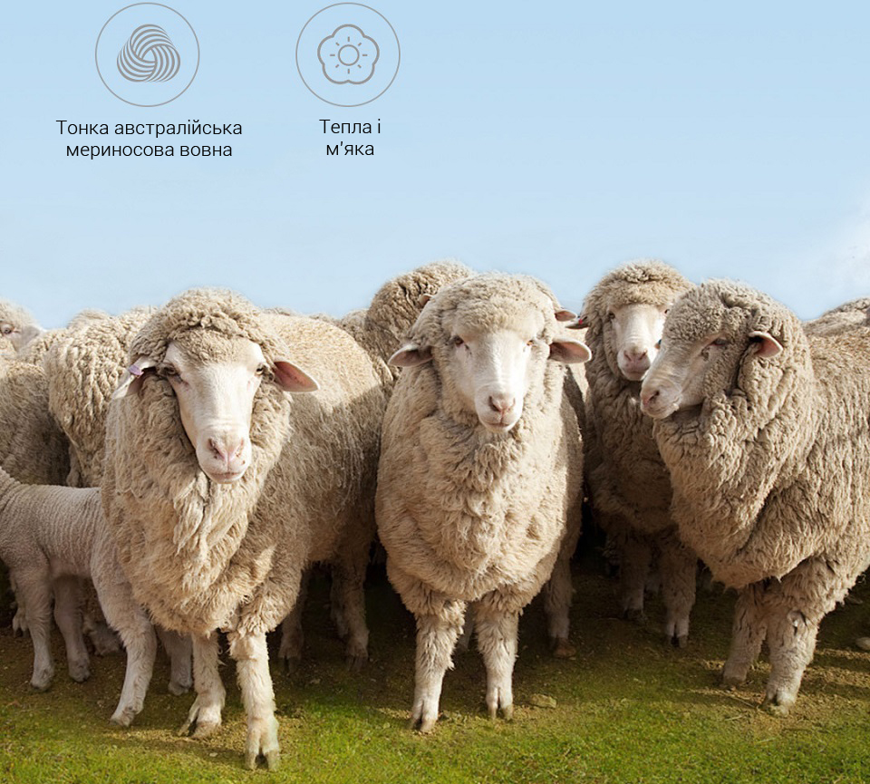 Матрац Tonight Australian Wool Mattress White 180x200 060405039 овечки