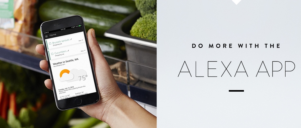 amazon alexa dot feature-app