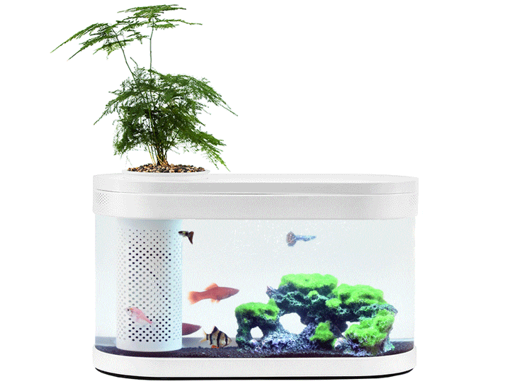 Акваріум Eco fish tank HF-JHYG001 крупним планом