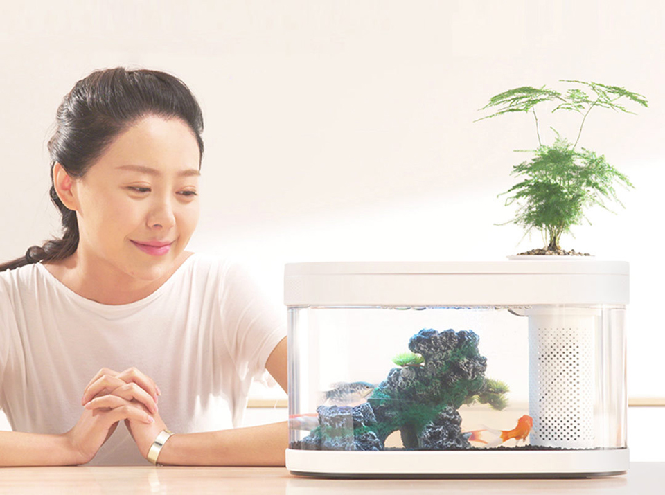 Акваріум Eco fish tank HF-JHYG001 дівчина біля акваріума