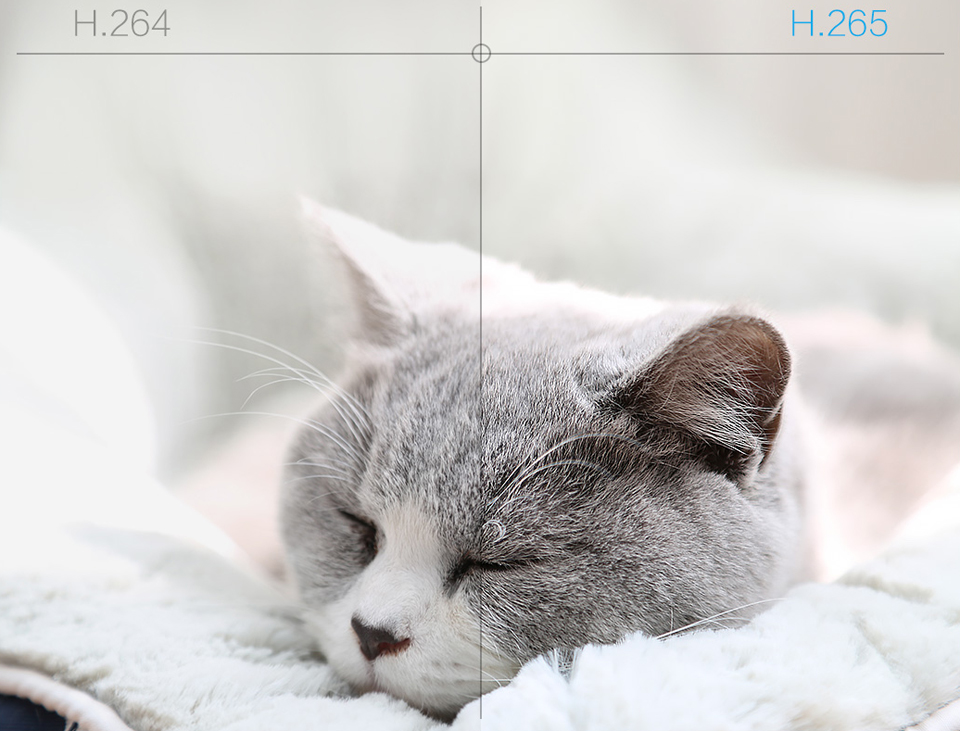 IP Камера iMi Xiaobai Smart Camera PTZ Edition CMSXJ16A кіт відпочиває