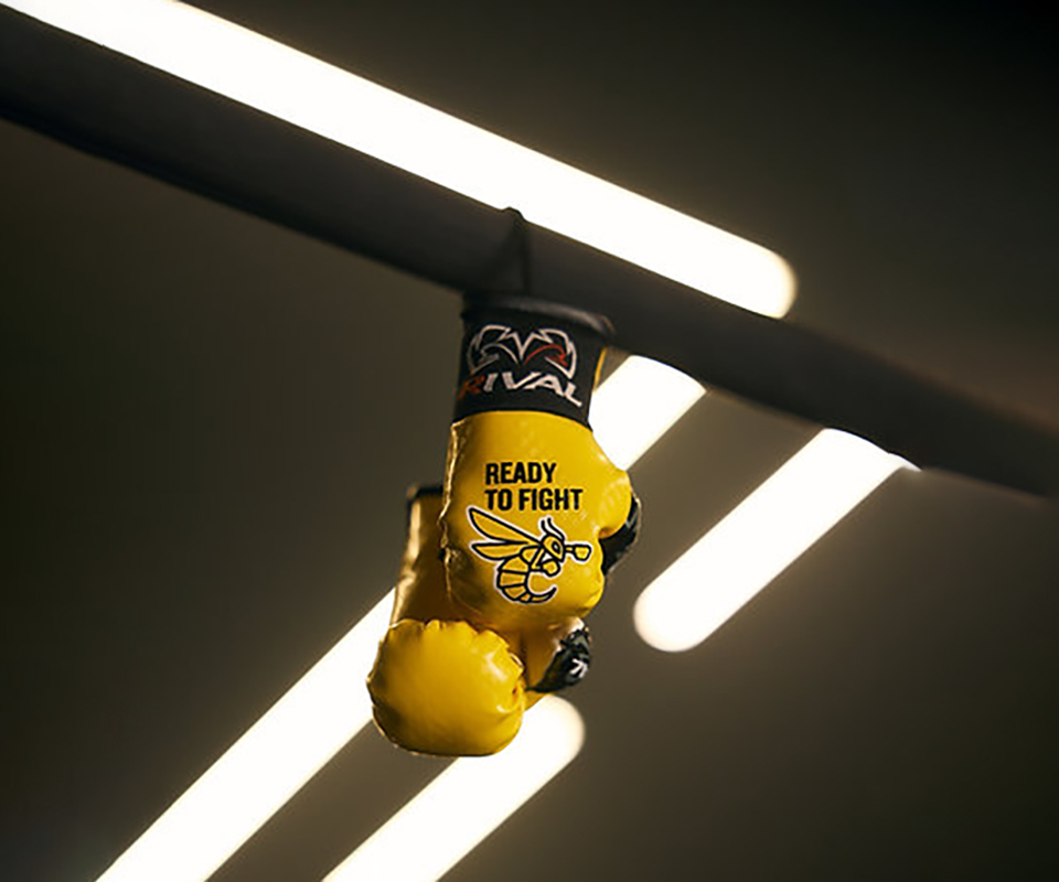 RTF & RIVAL Mini Boxing Gloves фото 2