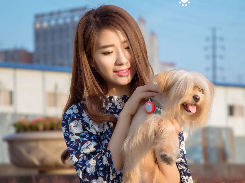 Xiaomi Smart Dog Button Tag дівчинка