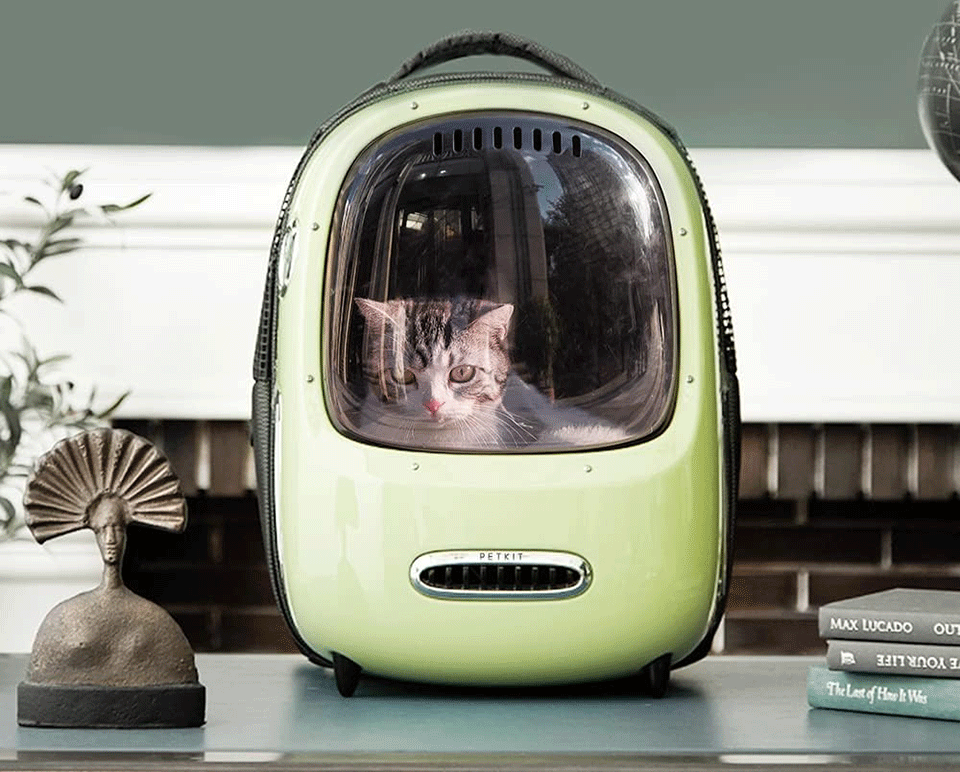 Breezy Smart Cat Carrier Green P7701 з котом всередині
