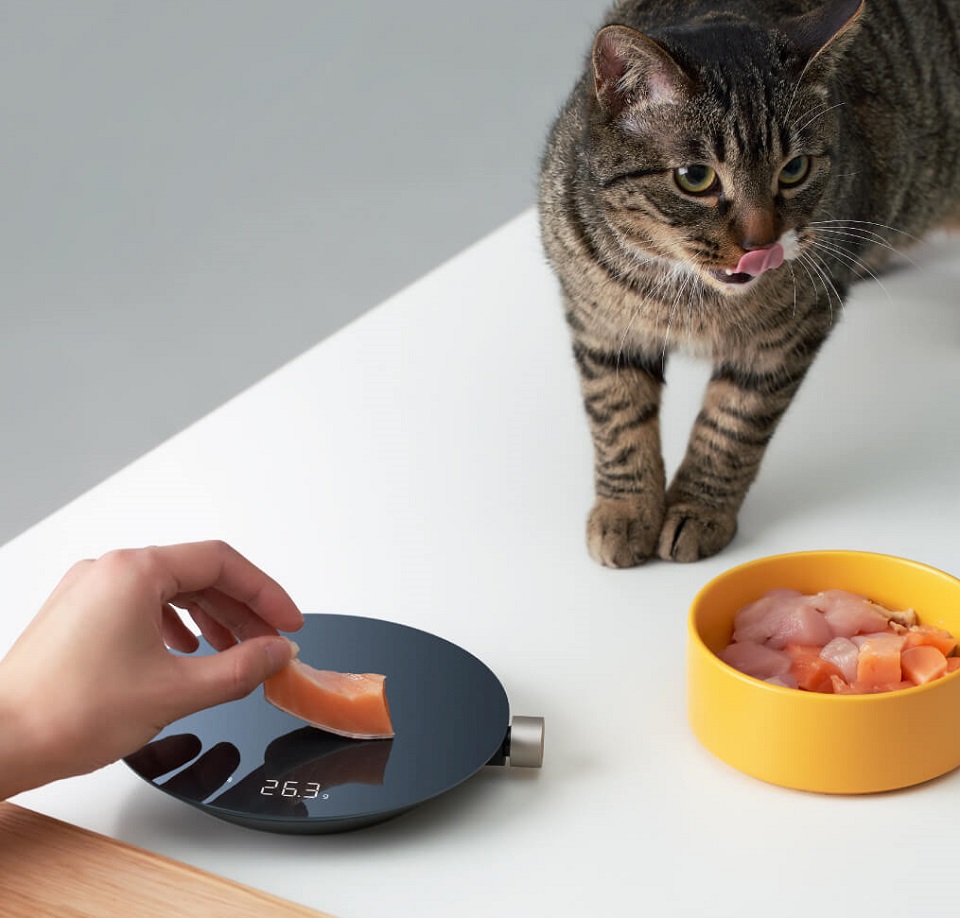 Смарт-весы кухонные Xiaomi HOTO Black QWCFC001 корм для кошки