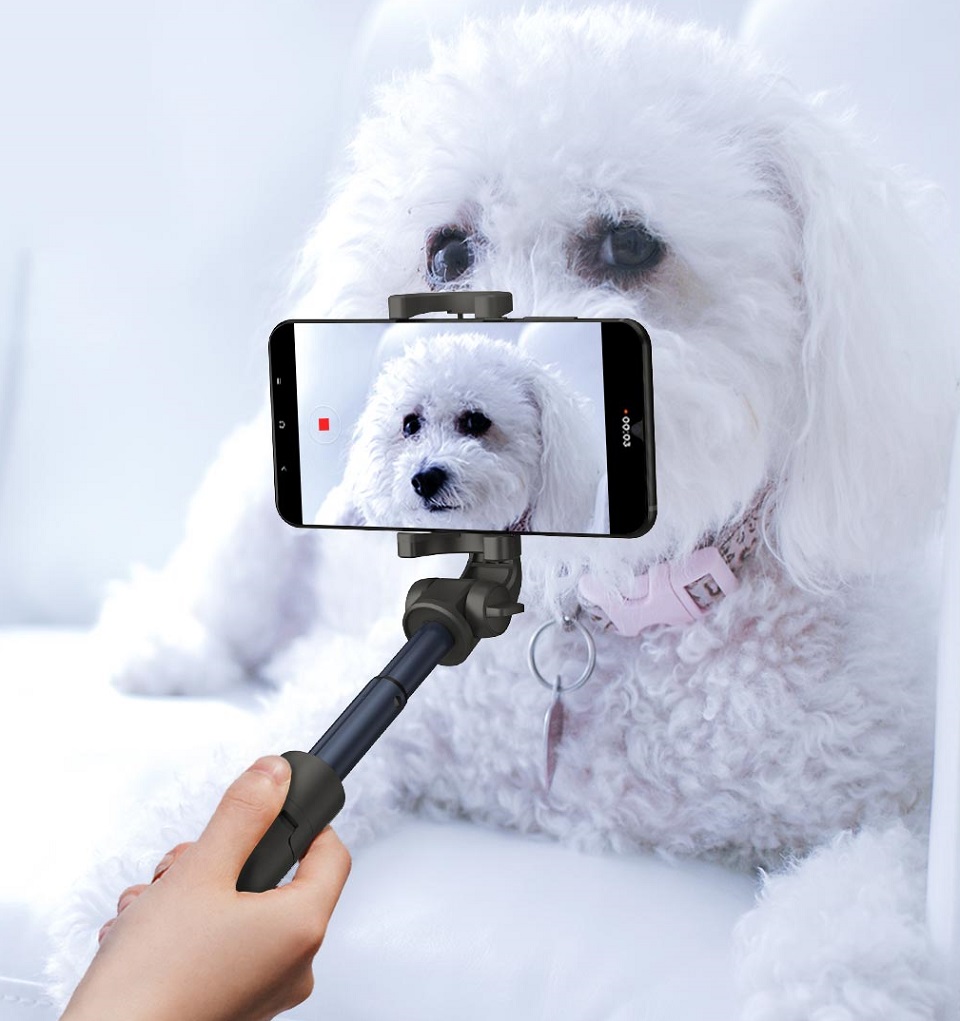 Селфи-монопод Xiaomi Yuemi YMI Selfie Stick Black (ZMSJZJ01YM) съемка собаки